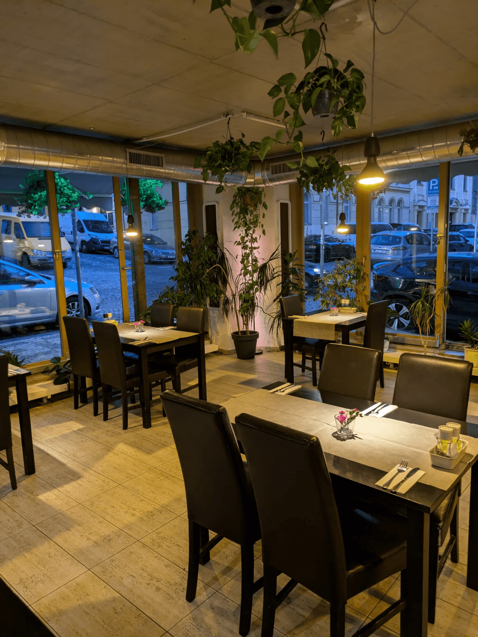 Restaurace u Agamy